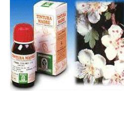 BIANCOSPINO 10 50ML TM - fitfarma.it