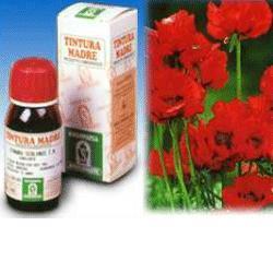 PAPAVERO CALIFORNIA 13 50ML TM - fitfarma.it