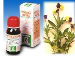 VIOLA DEL PENSIERO 32 50ML TM - fitfarma.it