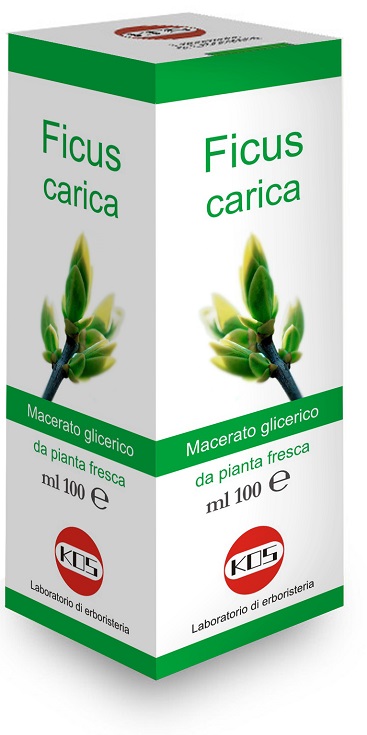 FICUS CARICA MG 100 ML GOCCE - fitfarma.it