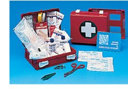 CASSETTA PRONTO SOCCORSO FAMILY PER CAMPEGGIO, BRICOLAGE, CASA E UFFICIO. CONTENITORE IN ABS ANTIURTO CON SUPPORTO PER IL FISSAGGIO ALLA PARETE - fitfarma.it