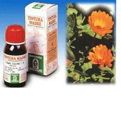 CALENDULA OFF 5 50ML TM - fitfarma.it
