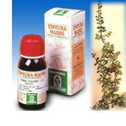 UVA URSINA 30 50ML TM - fitfarma.it