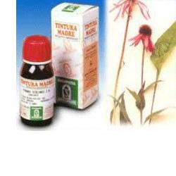 ECHINACEA 59 50ML TM - fitfarma.it