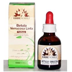 FITOBLASTO BETULLA VERRUCOSA LINFA 50 ML - fitfarma.it