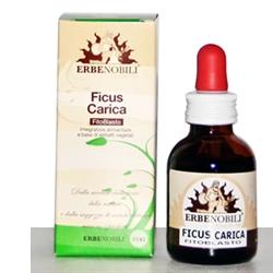 FITOBLASTO FICUS CARICA 50 ML - fitfarma.it