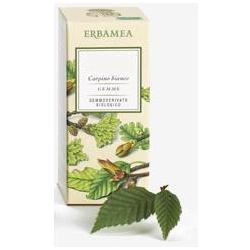 RIBES NIGRUM GEMME GEMMODERIVATO BIO 50 ML - fitfarma.it