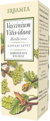 VACCINIUM VITIS IDAEA MIRTILLO ROSSO BIO 50 ML - fitfarma.it