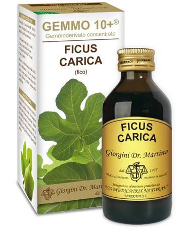 GEMMO 10+ FICO LIQUIDO ANALCOLICO 100 ML - fitfarma.it