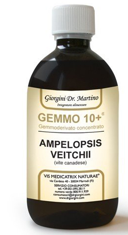 GEMMO 10+ GEMMODERIVATO CONCENTRATO LIQUIDO ANALCOLICO AMPELOPSIS VEITCHI VITE CANADESE 500 ML - fitfarma.it