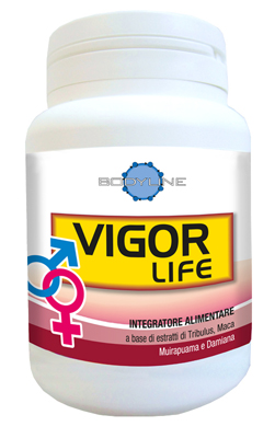 VIGOR LIFE 40 CAPSULE - fitfarma.it
