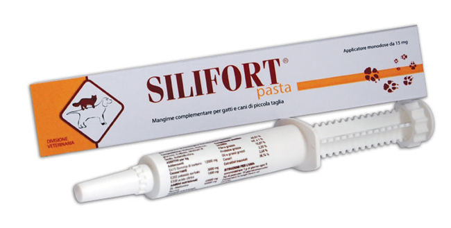 SILIFORT PASTA OS SIRINGA 30 G - fitfarma.it