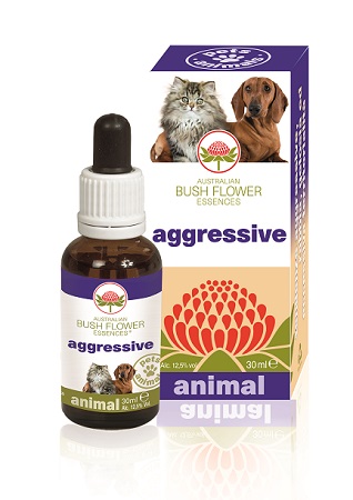 AGGRESSIVE 30 ML - fitfarma.it