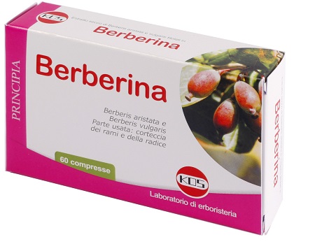 BERBERINA DA BERBERIS VULGARIS ESTRATTO SECCO 60 COMPRESSE - fitfarma.it