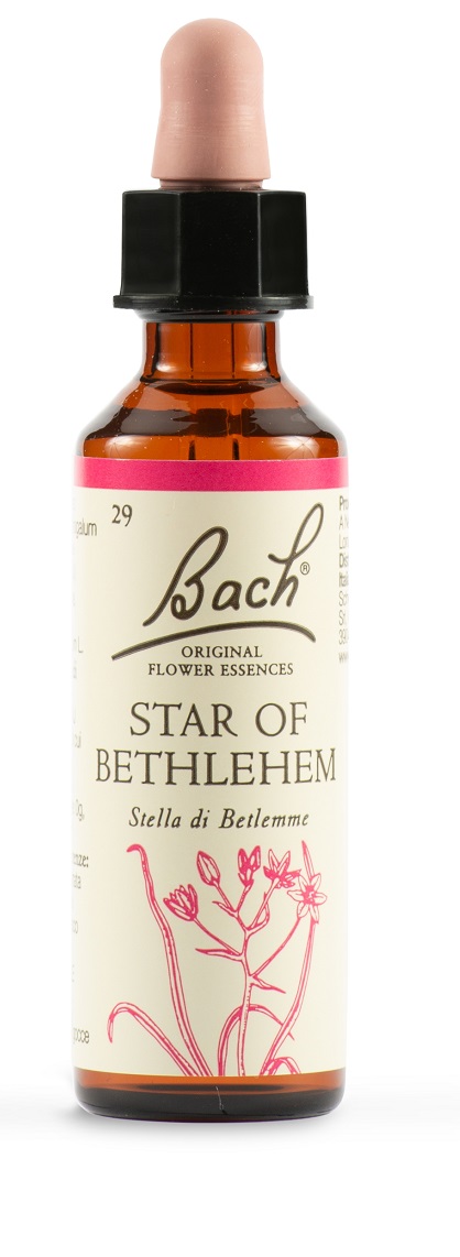 STAR OF BETHL ORIG 20 ML - fitfarma.it