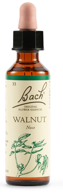 WALNUT BACH ORIG 20 ML - fitfarma.it