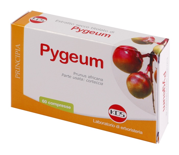 PYGEUM ESTRATTO SECCO 60 COMPRESSE - fitfarma.it