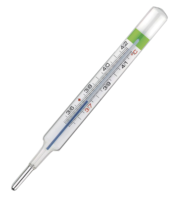 COLPHARMA THERMO GREEN PLUS TERMOMETRO - fitfarma.it