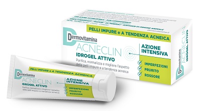 DERMOVITAMINA ACNECLIN IDROGEL 40 ML - fitfarma.it
