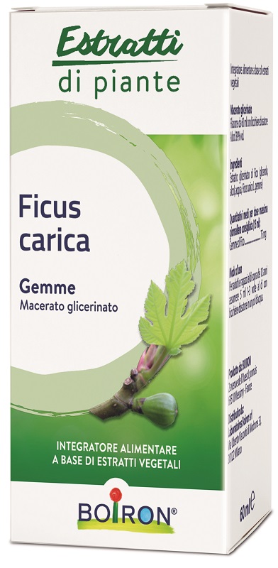 FICUS CARICA GEMME MACERATO GLICERINATO 60 ML INT - fitfarma.it