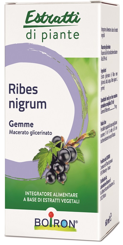 RIBES NIGRUM MACERATO GLICERICO 60 ML INT - fitfarma.it