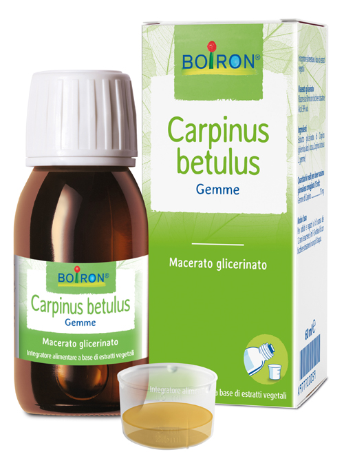 CARPINUS BETULUS MACERATO GLICERICO 60 ML INT - fitfarma.it