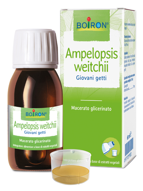 AMPELOPSIS WEITCHII MACERATO GLICERICO 60 ML INT - fitfarma.it