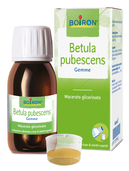 BETULA PUBESCENS MACERATO GLICERICO 60 ML INT - fitfarma.it