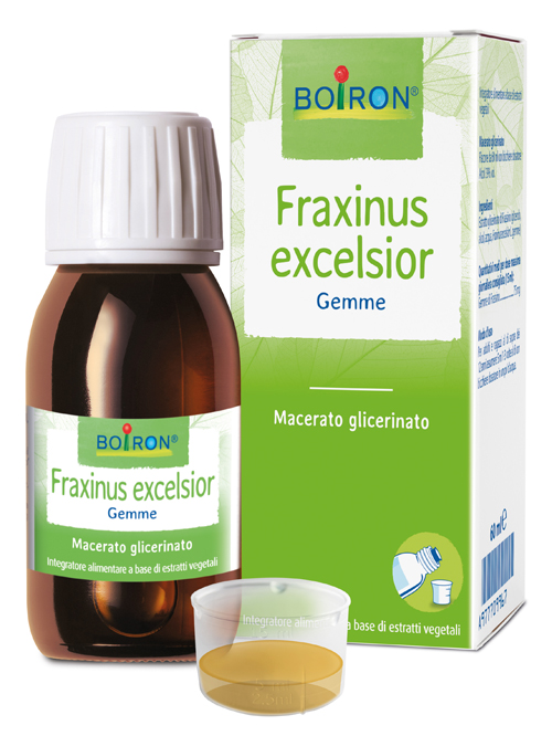 FRAXINUS EXCELSIOR MACERATO GLICERICO 60 ML INT - fitfarma.it