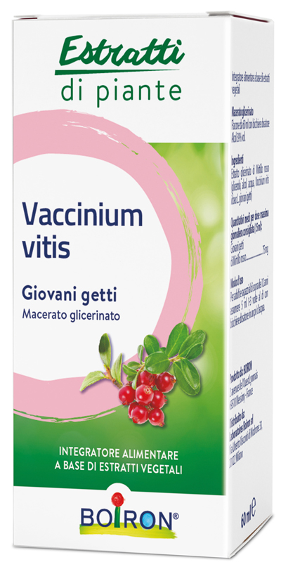 VACCINIUM VITIS MACERATO GLICERICO 60 ML INT - fitfarma.it