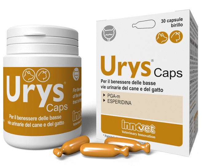 URYS CAPS 30 CAPSULE - fitfarma.it